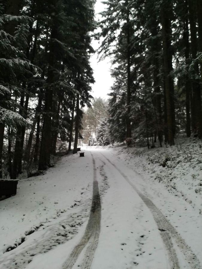Domek Na Gorce Bieszczady Lesko Exterior foto